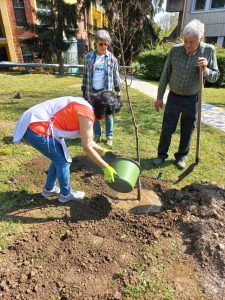 A fácskák alá jó minőségű humusz került és bőséges locsolást is kaptak
