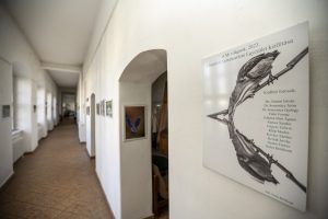 A folyosógaléria hangulatos boltívei alatt, a falakon a kiállítás képei láthatók.
