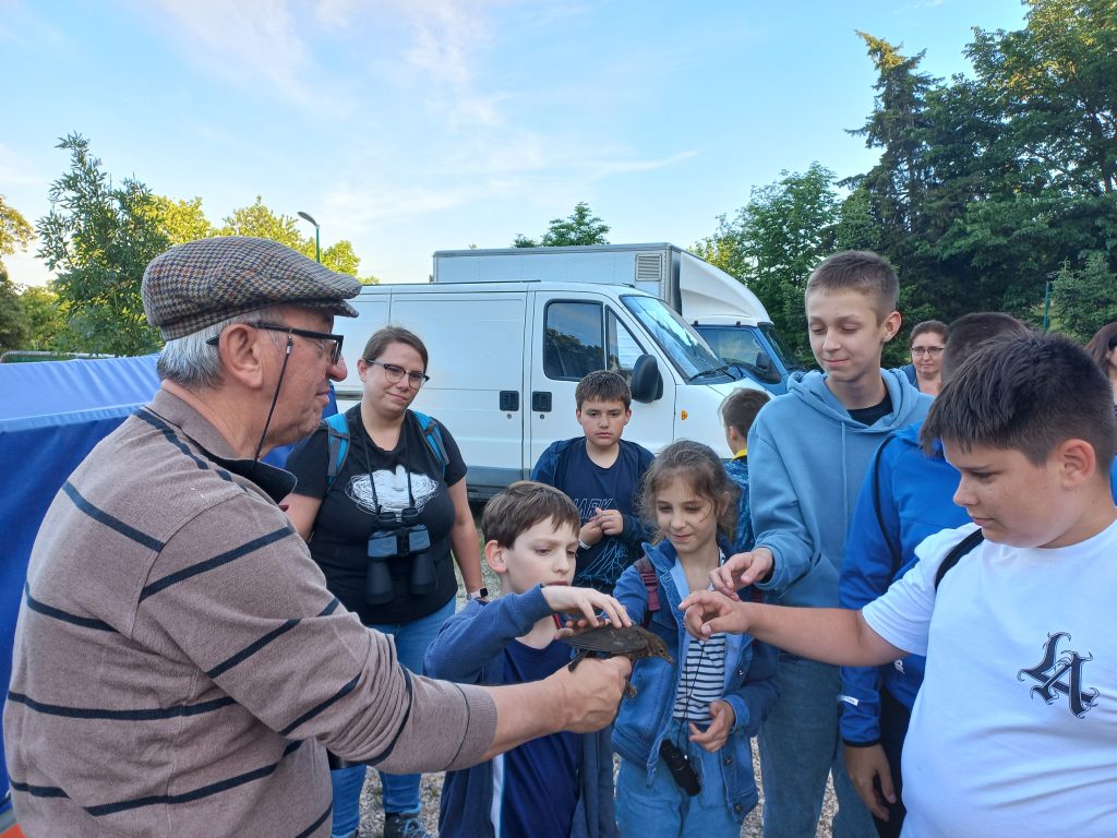 A képen diákok éppen megsimogatják a bal szélen álló madarász kinyújtott kezében lévő, meggyűrűzött fekete rigót.